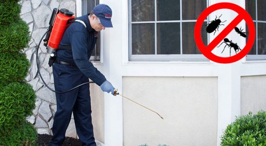 Of Dezenfeksiyon böcek ilaçlama ve haşere kontrolü — ilaclama-tr.com